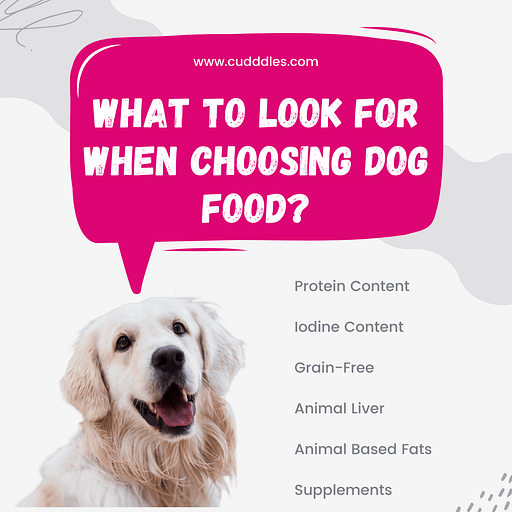 What to Look For When Choosing Dog Food?